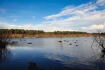 A Lake