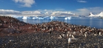 Akademik Ioffe sitting amoungst the bergs at Cuverville Island