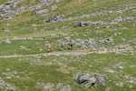 Duddon Long-4