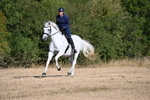 WJ6_6823