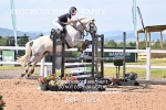 BPP_2014