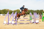 SBM_003378