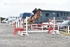BPP_6337