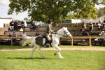 SBM_42289