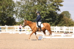SBM_03555