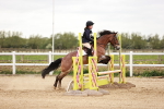 SBM_008653