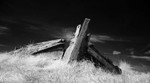 Countryside Walks portfolio