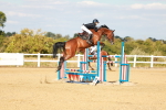 SBM_007775