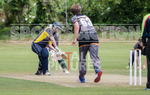 Cricket_Wanderers vs Griffins-31