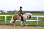 SBM_006886