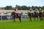 160926-Race 1-Austrian Theory-9153
