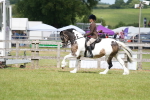 SBM_17230