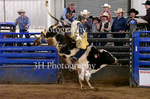 _DSC5184
