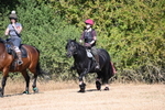 WJ6_7931