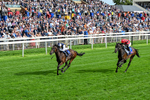 190826-Race 5-Small Fry-0660
