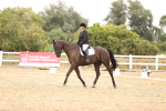 SBM_003244