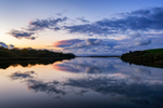 Newport Estuary Reflection