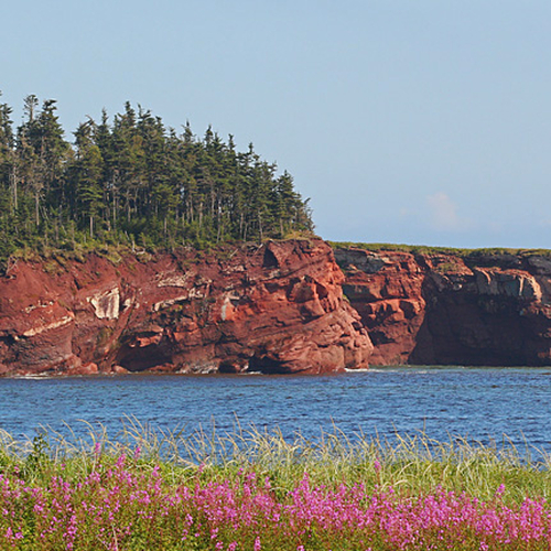 Bay of Fundy Rock Formations