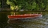 Whippet23-3039