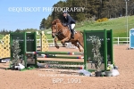 BPP_1991