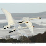 Fine Art Prints portfolio