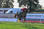 140826-Race 4-Raging Raj-1314