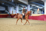 SBM_07772
