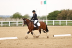 SBM_006479