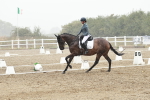 SBM_003906