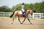 SBM_009979