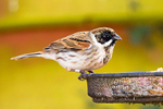 20150321-8E0A8372