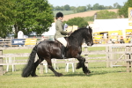 SBM_09542