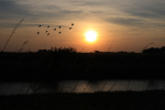 Fall Sunset