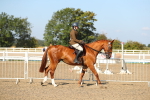 SBM_02174
