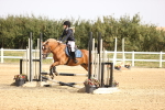 SBM_001201
