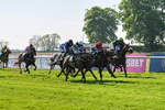 180524-Race 6-Diamondonthehill-Yorkshire-9795