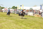SBM_17283