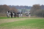 WJ6_9137
