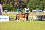 SBM_10979