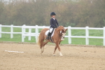 SBM_001181