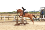 SBM_004376