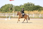 SBM_012226