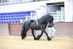 SBM_5265