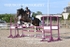 BPP_2584