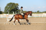 SBM_02213