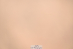 240625A-160529-00076