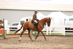SBM_00551