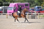 BPP_9087