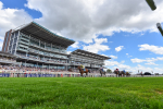 280625-Race 4-Hankelow-5309