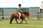 SBM_06801